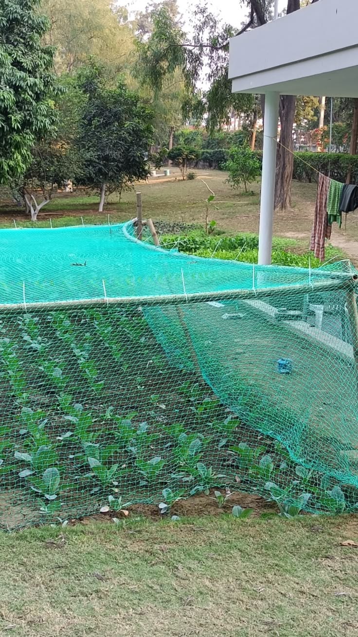 Professional Divi Safety Nets installation