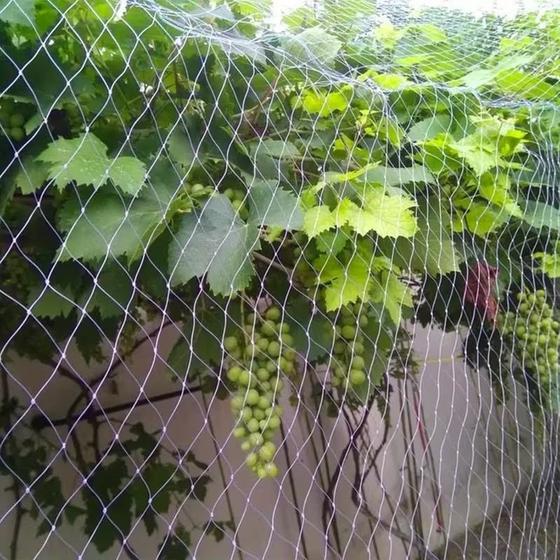 Garden safety net installation in Bangalore