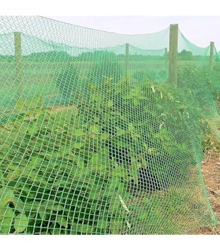 Divi Safety Nets professional garden safety nets installation in Bangalore