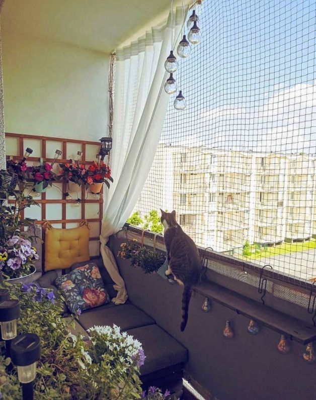 Pet Safety Nets