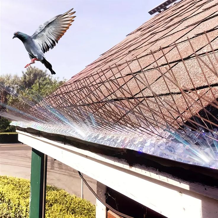 Divi Safety Nets professional balcony safety net installation in Bangalore