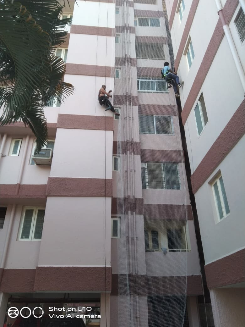 Pigeon safety net installation