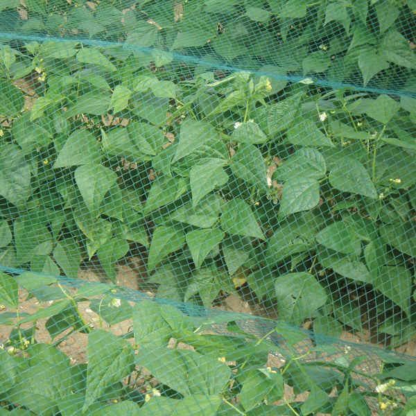 Garden Safety Nets
